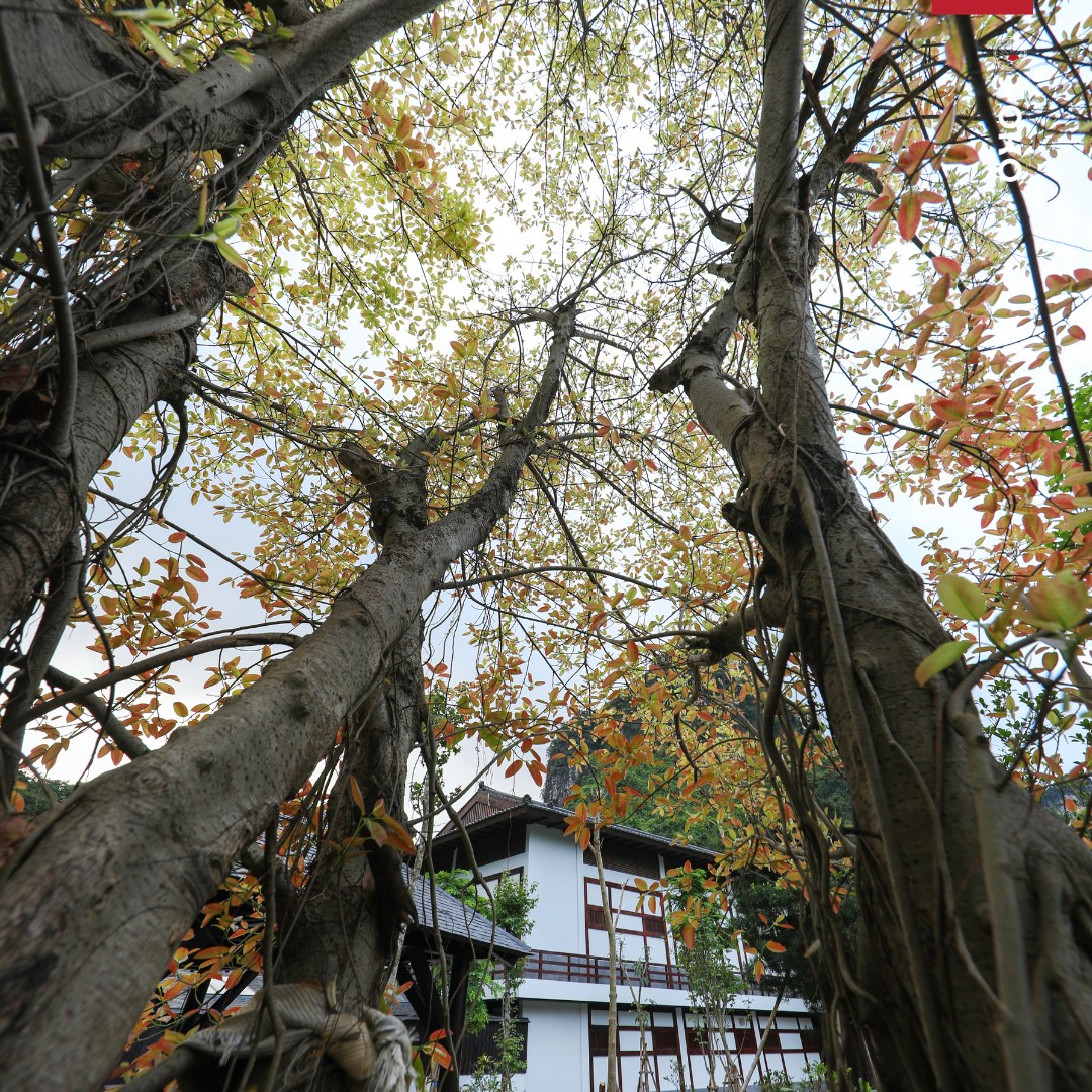 Thu tại Yoko Onsen Quang Hanh - VDS travel